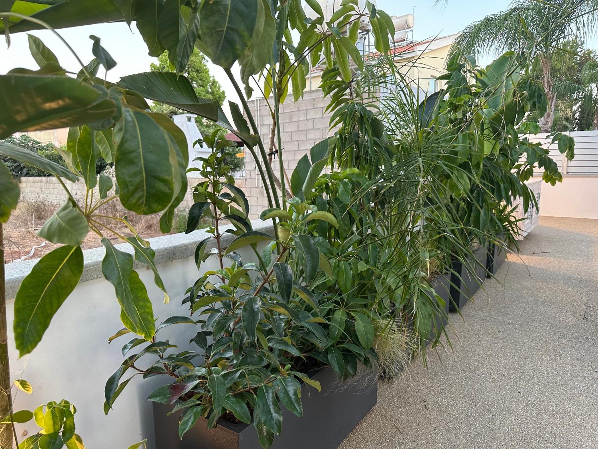 Vilă Valerian Palm - Napa's Secret Escape *